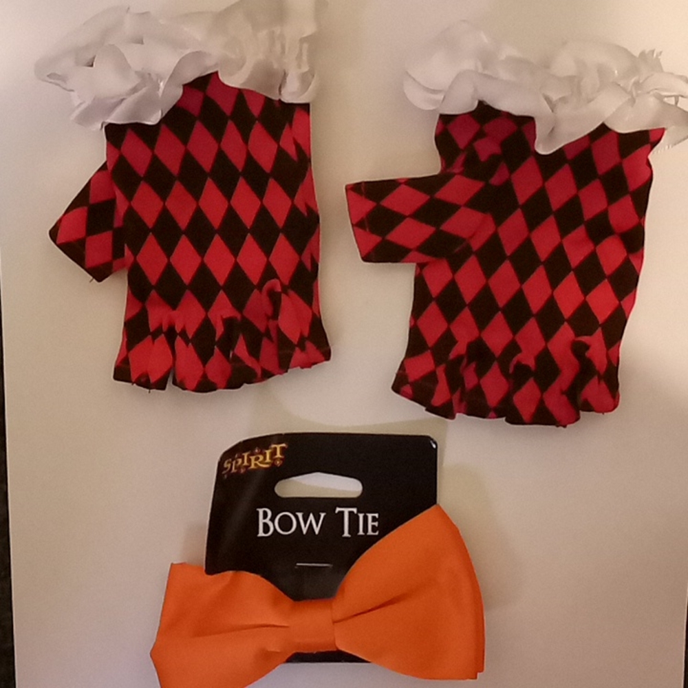 Clown/ Deadly Bear Costume